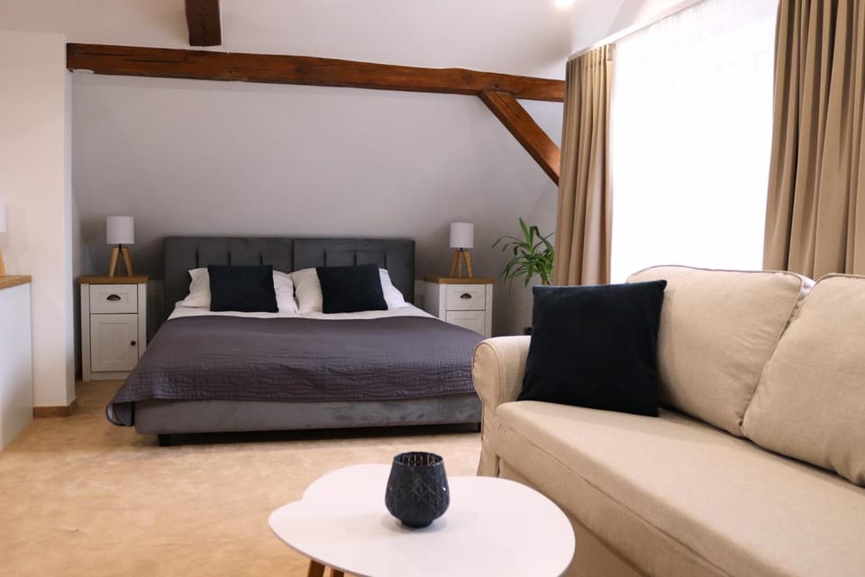 Bed, Living room, Photo of the whole room, Seating area, Bedroom