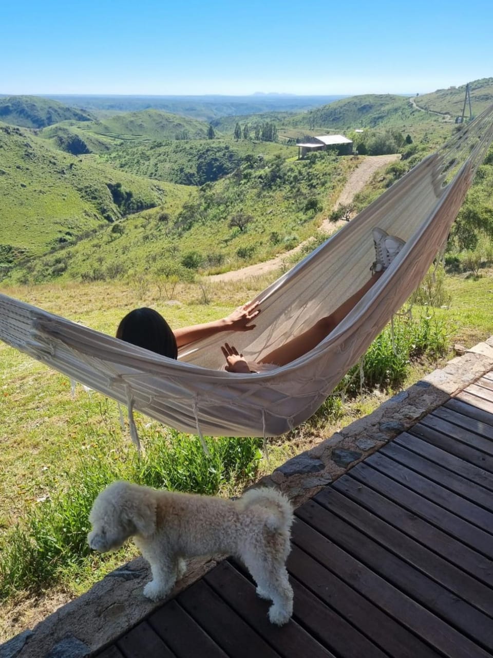 Natural landscape, Pets