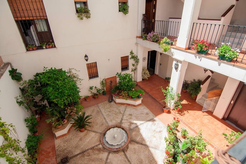 Patio, On site, Facility for disabled guests
