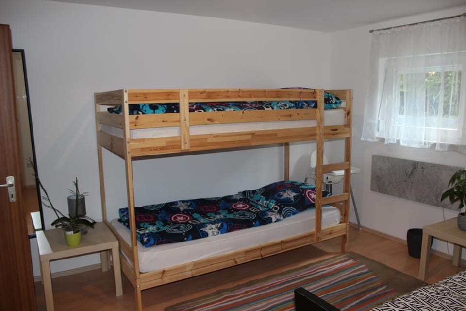 TOP gelegenes Appartment tla mit Garten für bis zu 5 Personen Apartment in Kaiserslautern