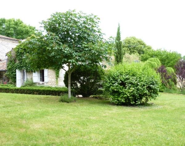 Property building, Garden view