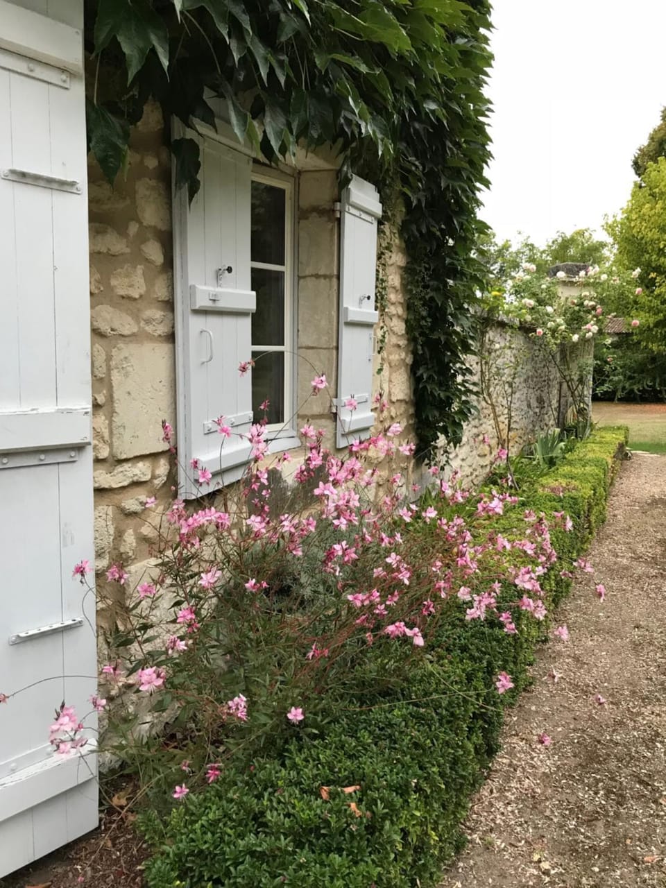 Property building, Garden, Garden view