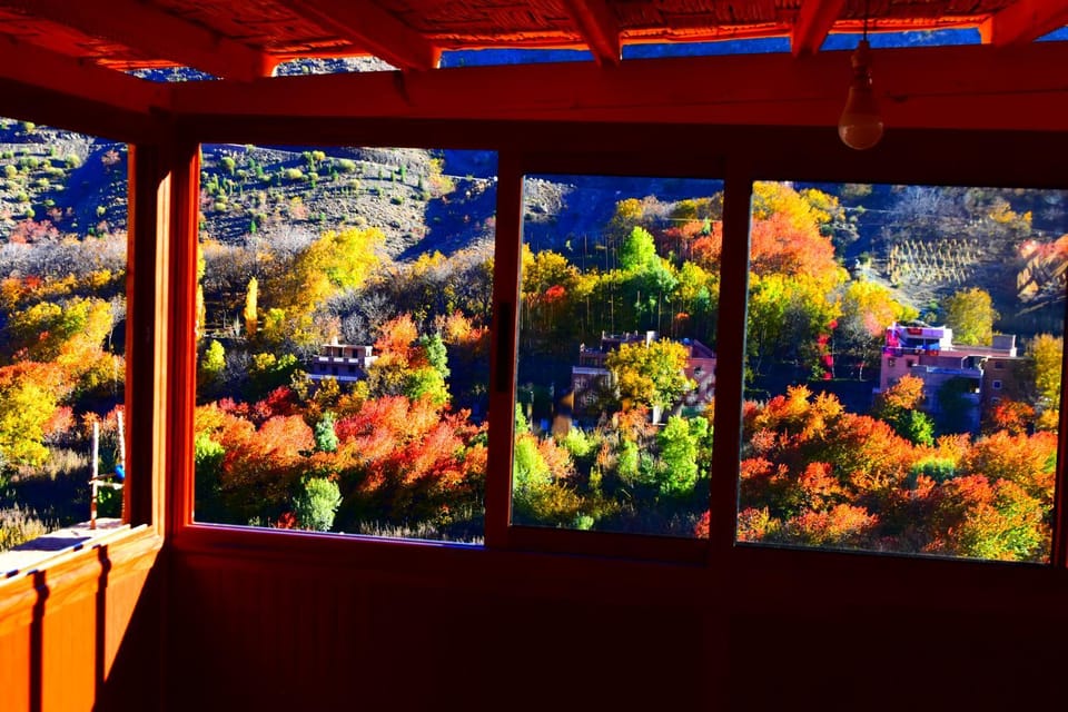 Bird's eye view, Autumn