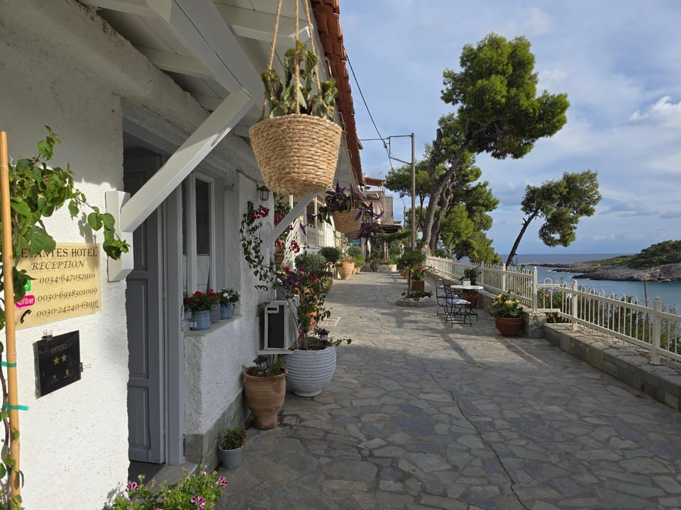 Levantes Hotel Hotel in Sporades, Greece