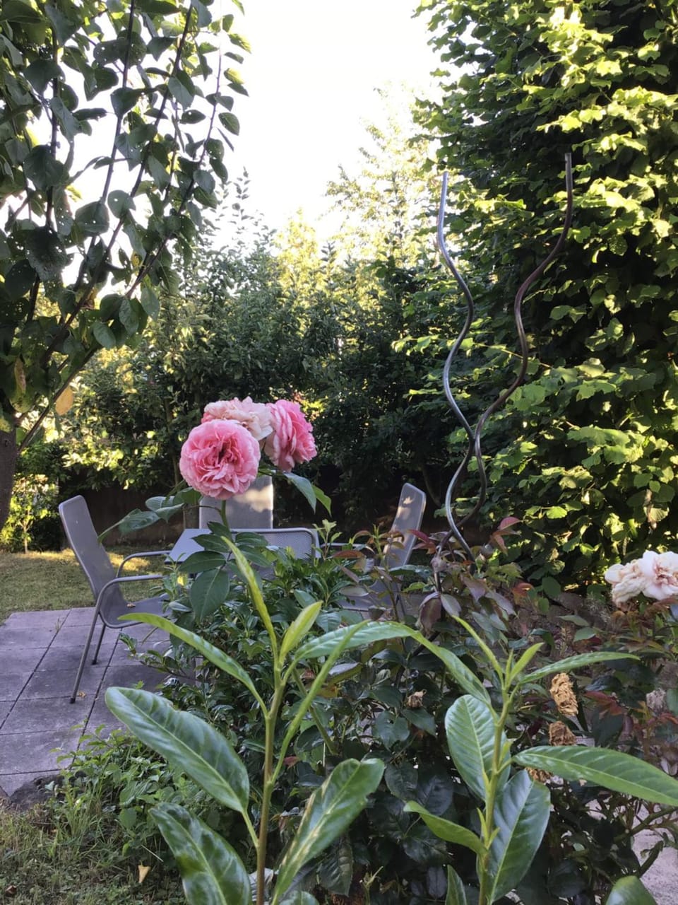 Garden view