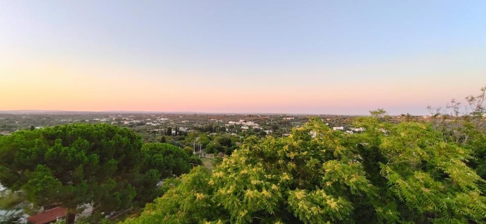 Summer, View (from property/room), Sunset