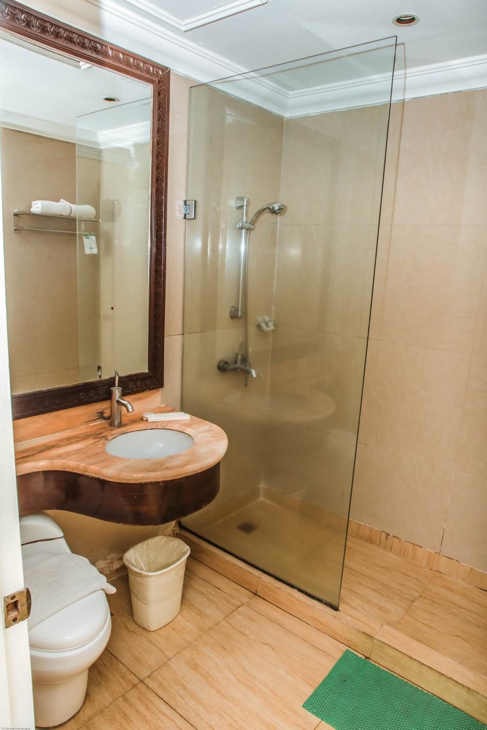 Shower, Toilet, Bathroom
