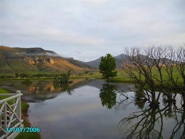 Lake view