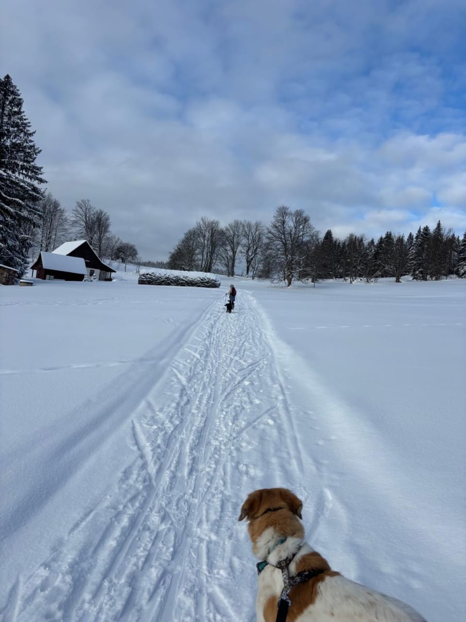 chalupa Lukatera Chalet in Czechia