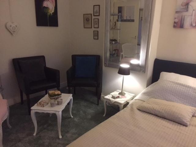 Gezellige zolder in Wassenaar met dakterras Apartment in Wassenaar