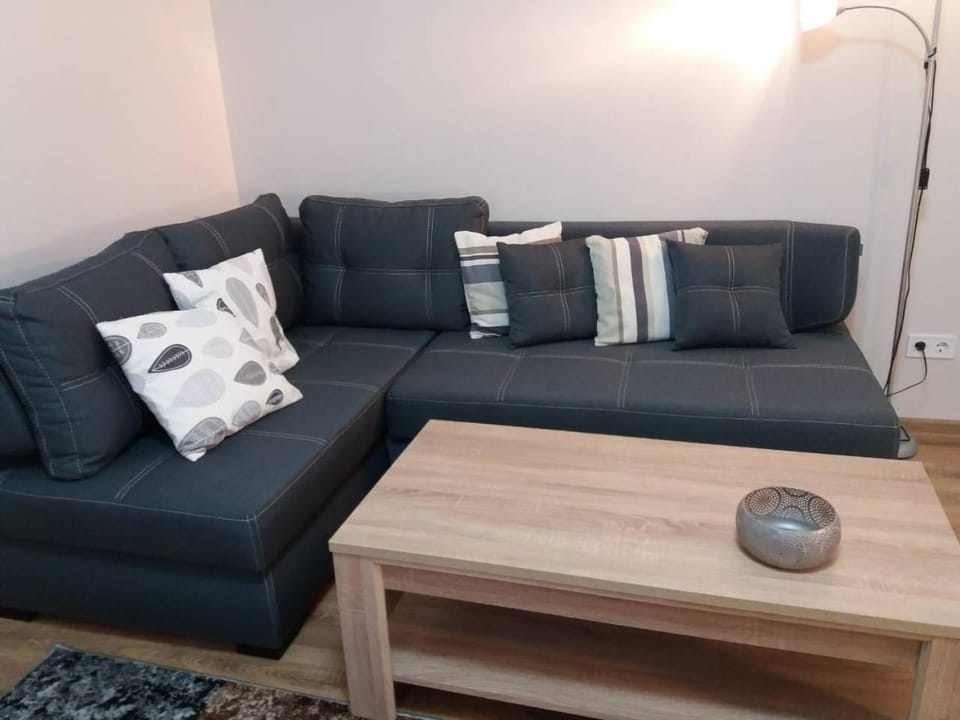 Skelnaia Apartment Apartment in Lviv