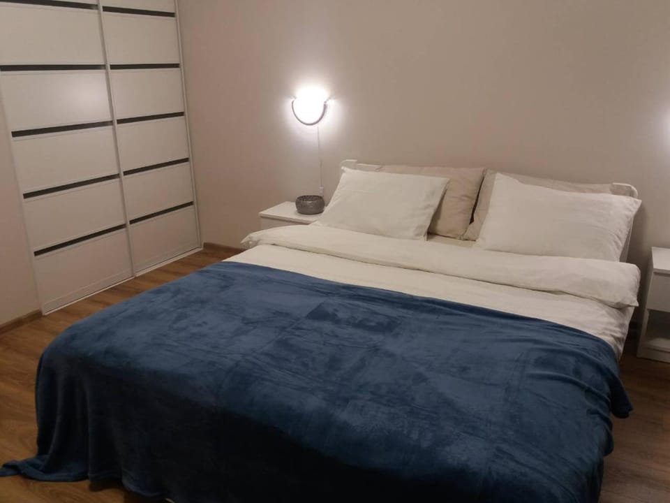 Skelnaia Apartment Apartment in Lviv