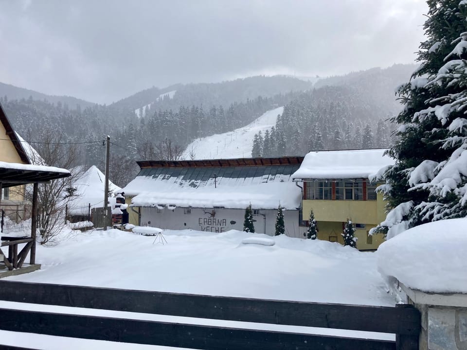 Chalet Azuga Bed and Breakfast in Prahova, Romania