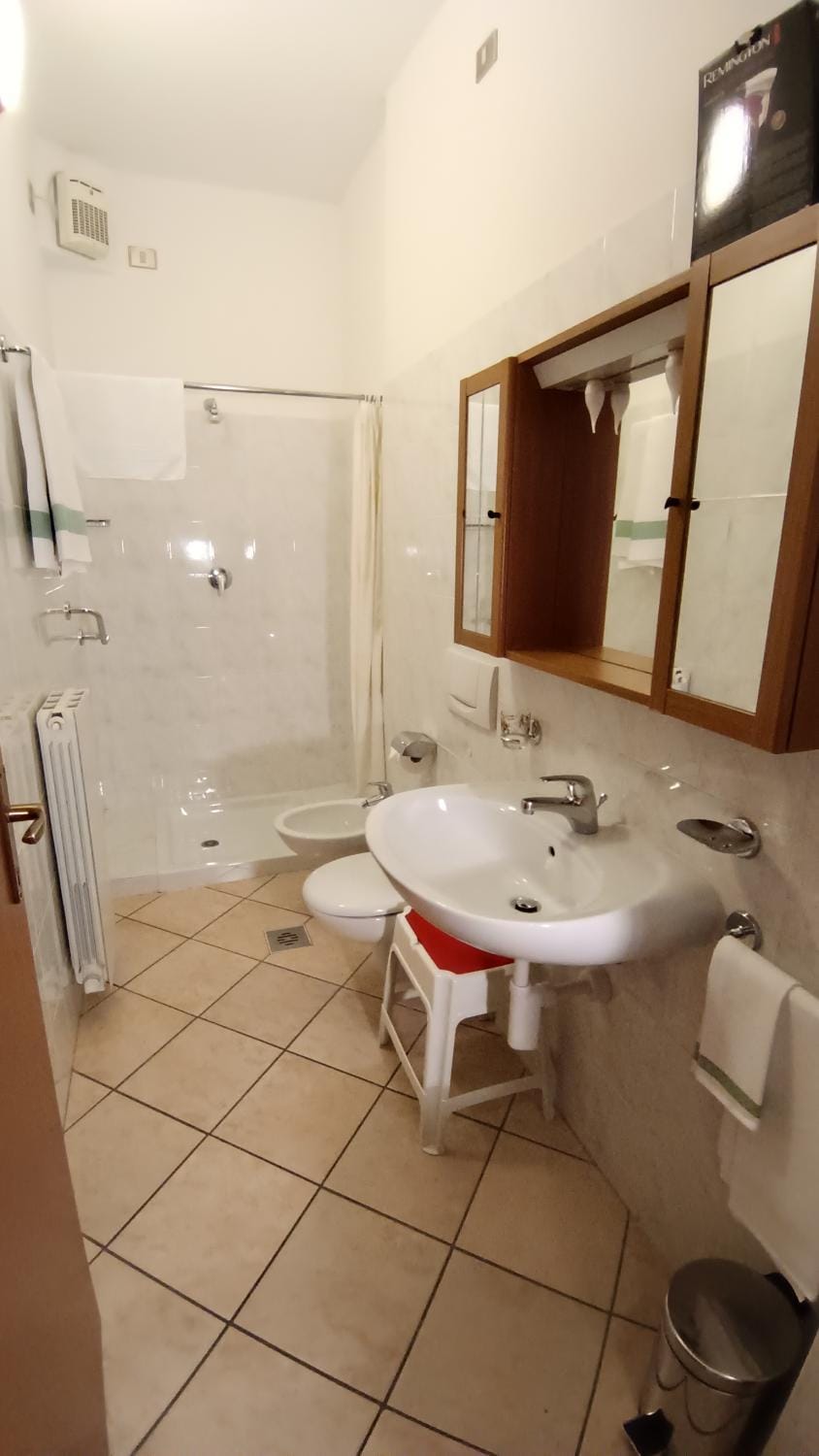 Shower, Toilet, Bathroom, towels