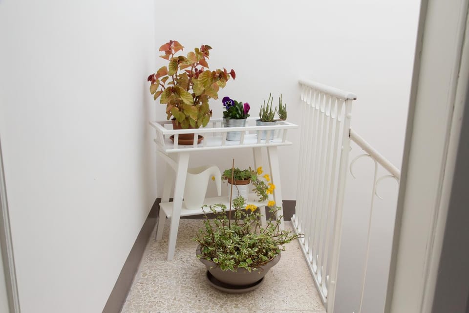 Tocco Barocco - Locazioni Brevi - Apartment in Ragusa