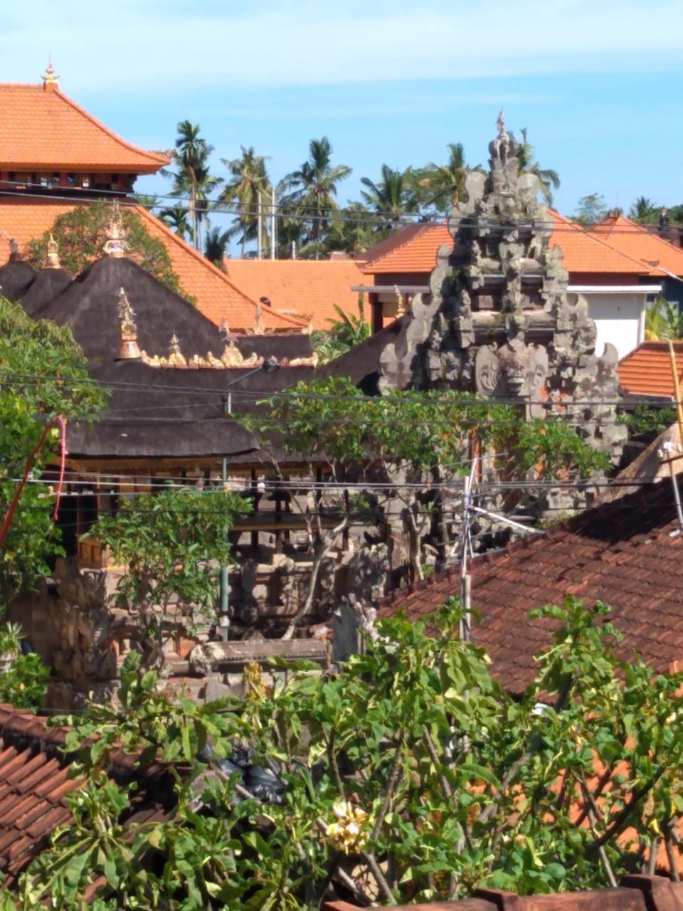 Omank Agus Homestay Vacation rental in Ubud