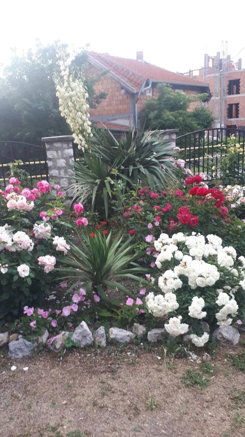Sobe Seka Bed and Breakfast in Serbia