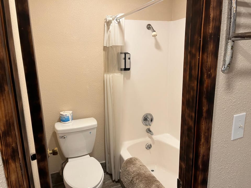 Shower, Toilet, Bathroom, Bath