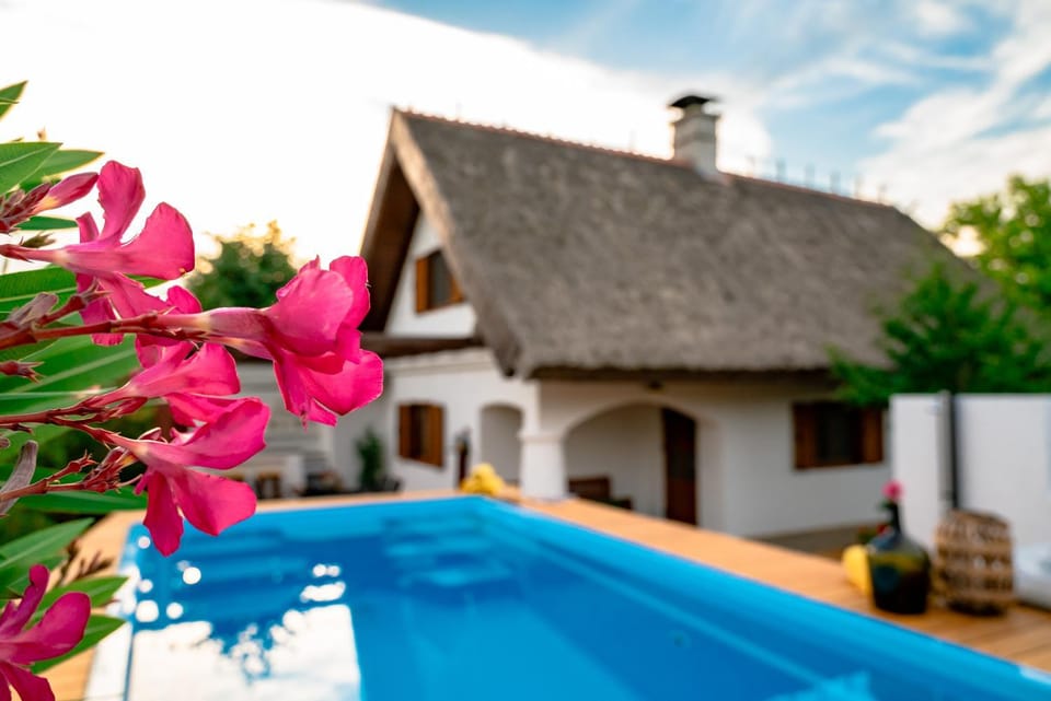 Property building, Day, Garden, Swimming pool