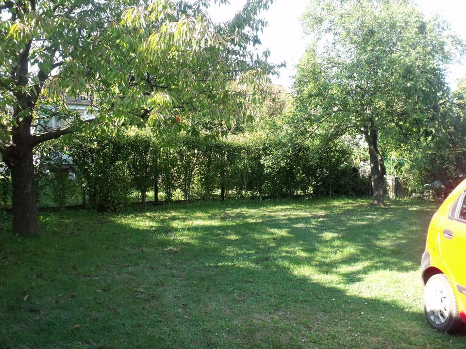 Natural landscape, Garden, Parking