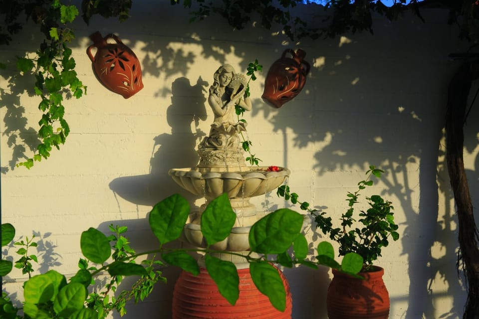 Garden, On site