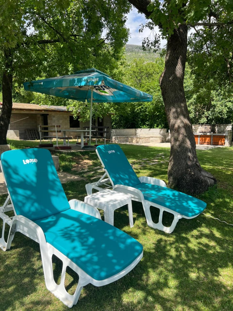 Patio, Spring, Day, Natural landscape, Garden, Garden view, Pool view, Swimming pool, sunbed