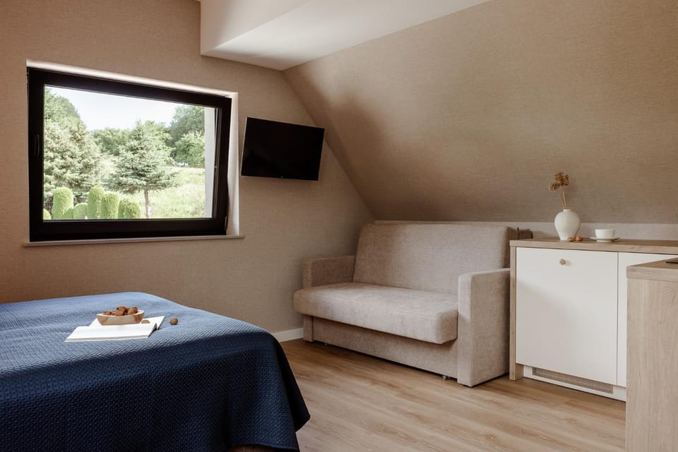 Bed, TV and multimedia, Kitchen or kitchenette, Photo of the whole room, Seating area, Bedroom