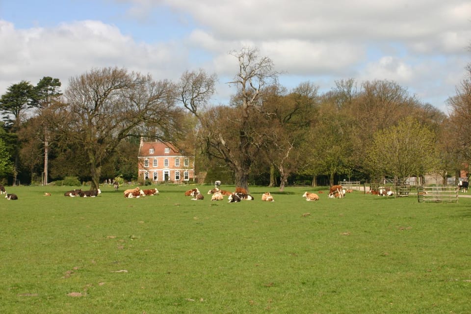 Spring, Natural landscape, Animals, On site, Landmark view