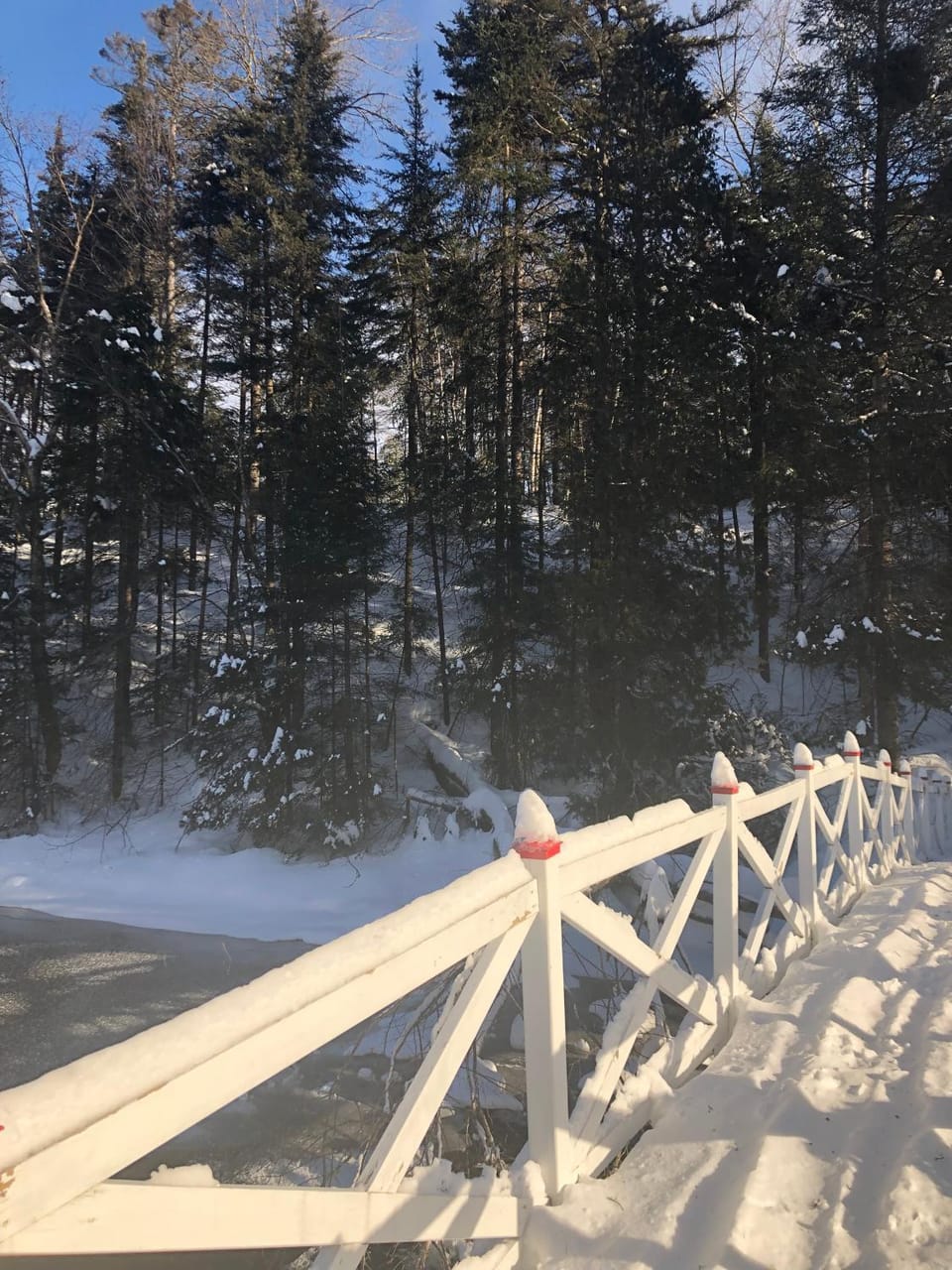 Chalet Le Semeur Bed and Breakfast in Shawinigan
