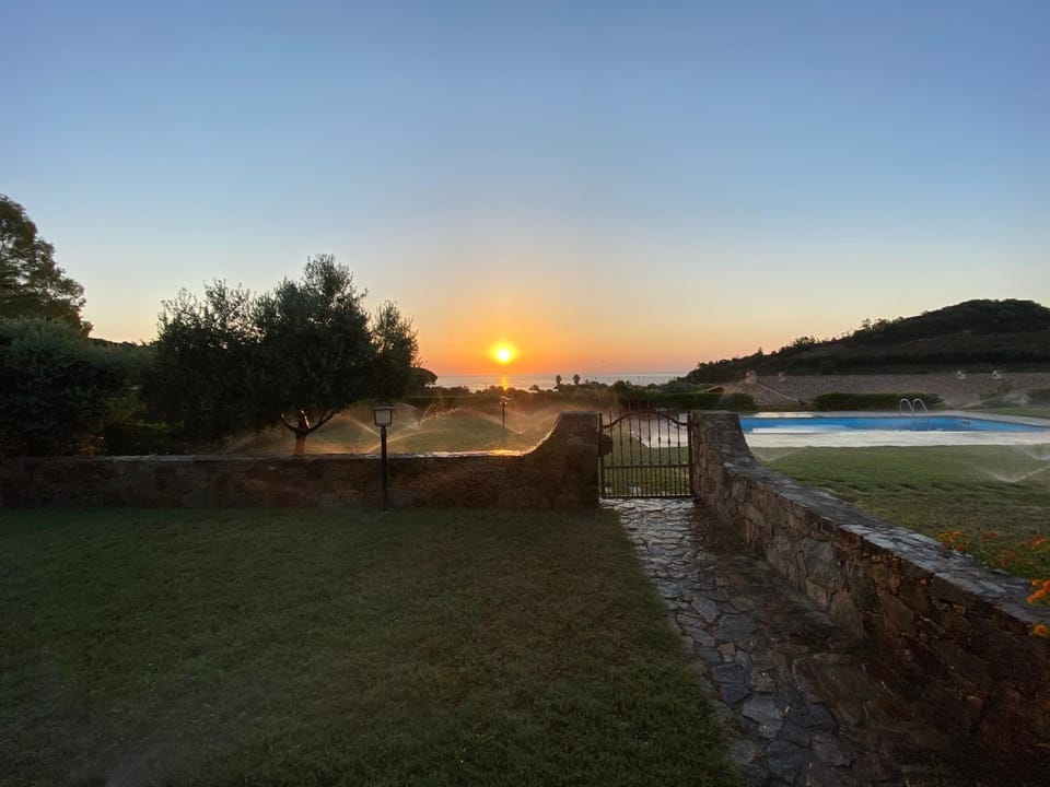 Summer, Garden view, Pool view, Sunrise