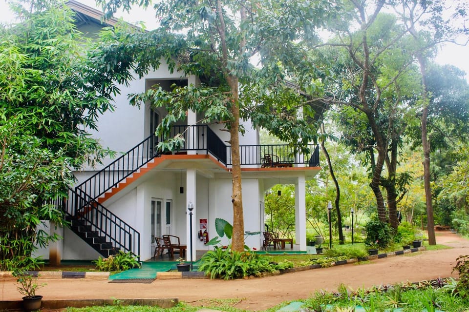 Property building, Day, Natural landscape, Garden, Garden view