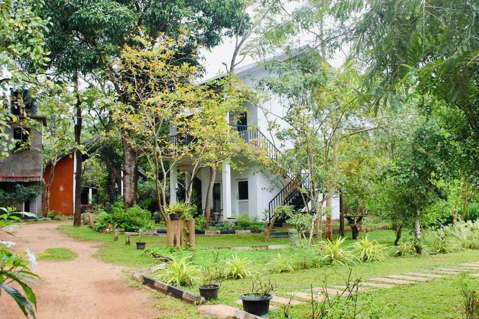 Property building, Day, Natural landscape, Garden, Garden view