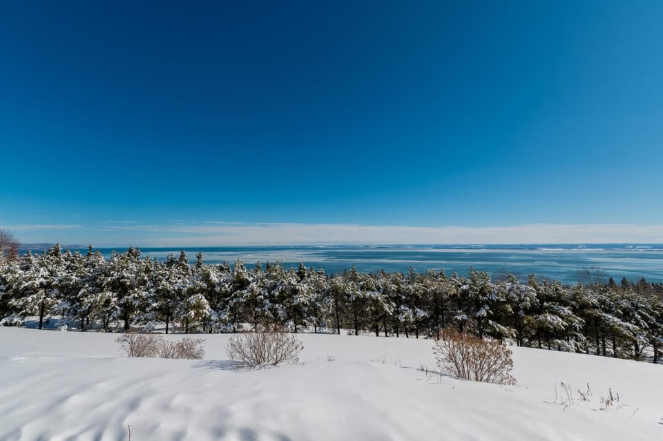 Natural landscape, Winter