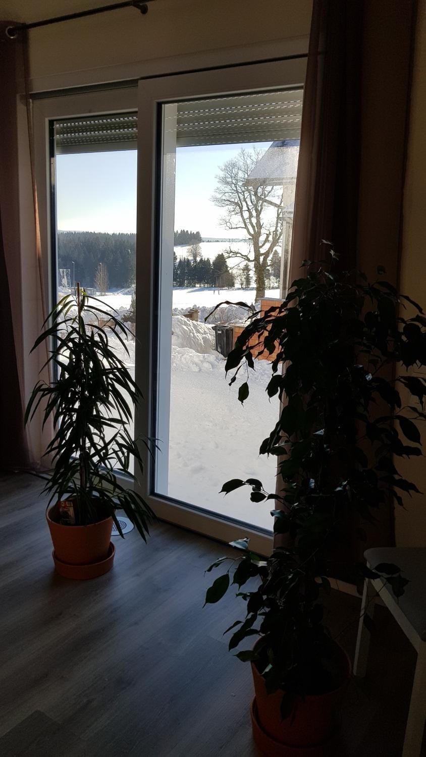 Winter, View (from property/room), Dining area, Mountain view
