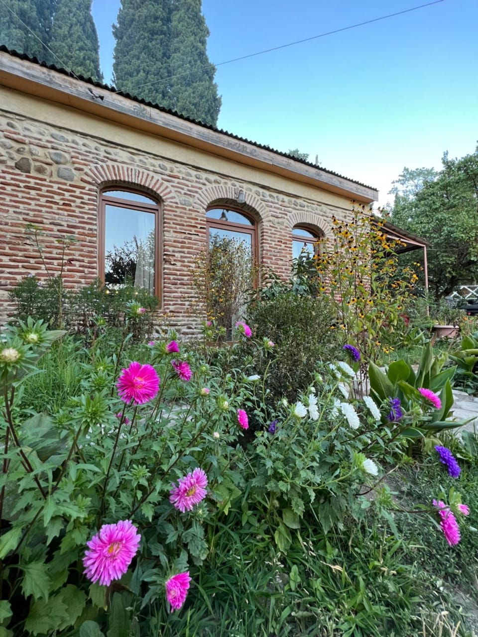 Guest House Lali Hostel in Georgia