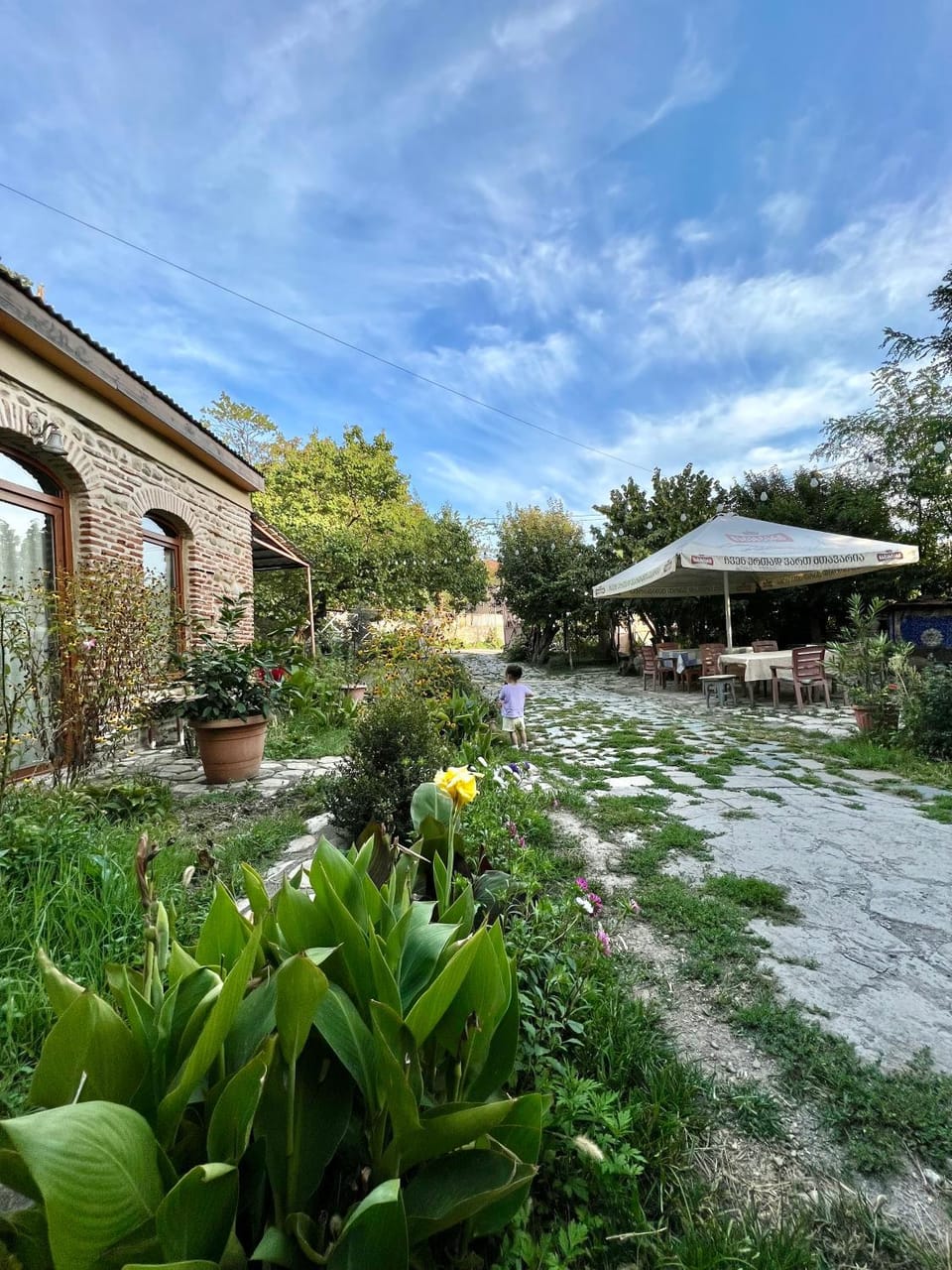 Garden view