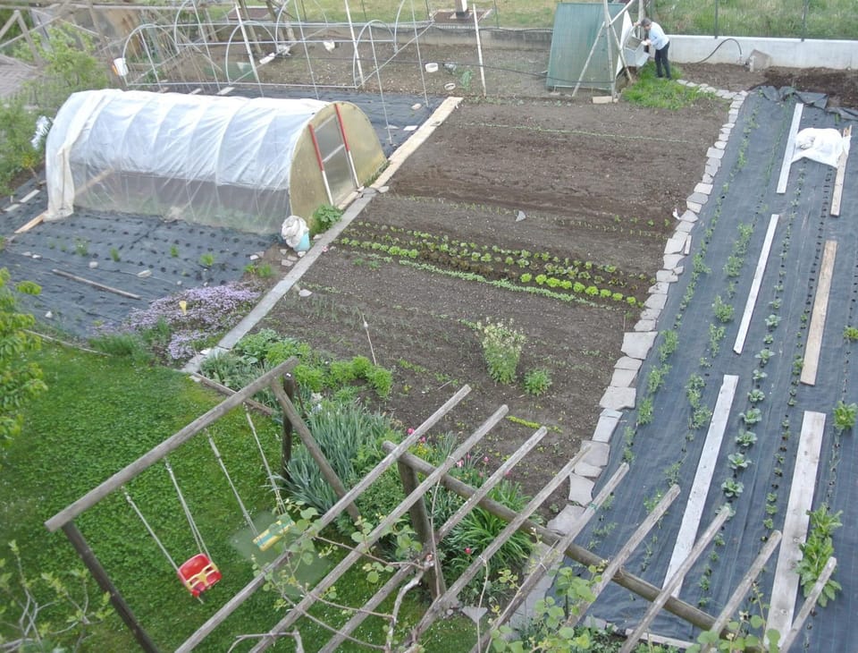 Garden, Dinner