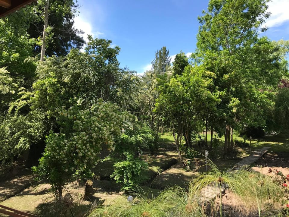Spring, Natural landscape, Garden, Garden view