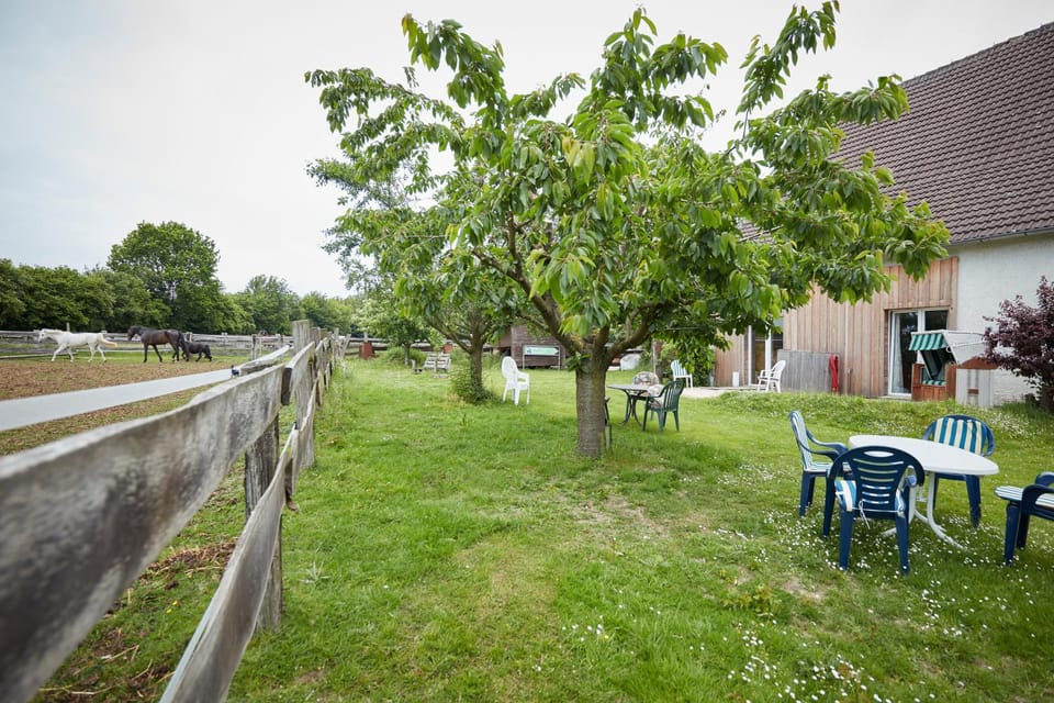 Garden, Animals, Pets