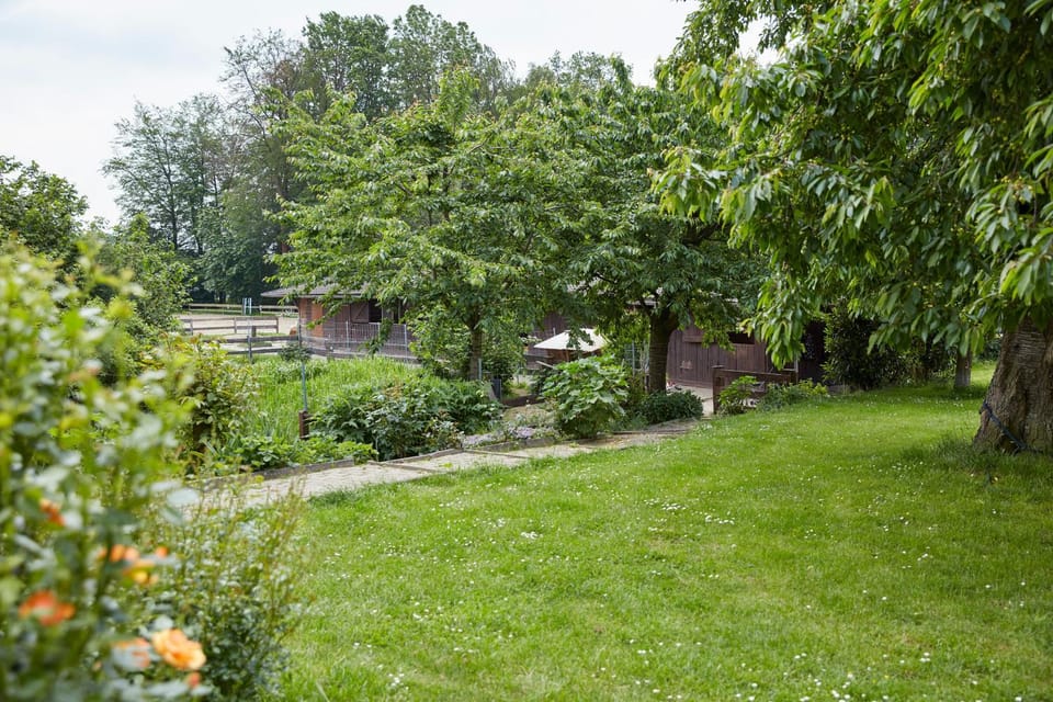 Garden, Decorative detail, Area and facilities