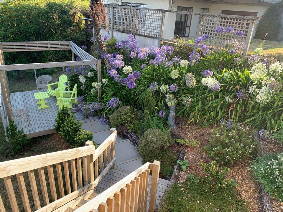 Pretty on Paku, Tairua - Cottage House in Auckland Region