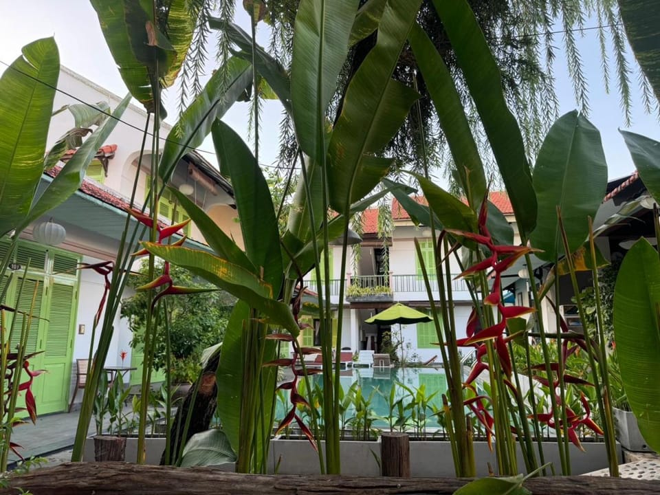 Property building, Swimming pool