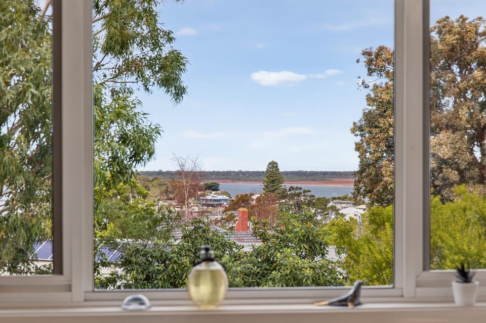 Lake view
