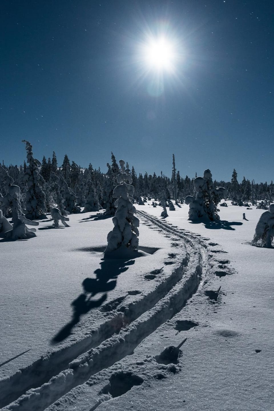 Neighbourhood, Winter, Skiing