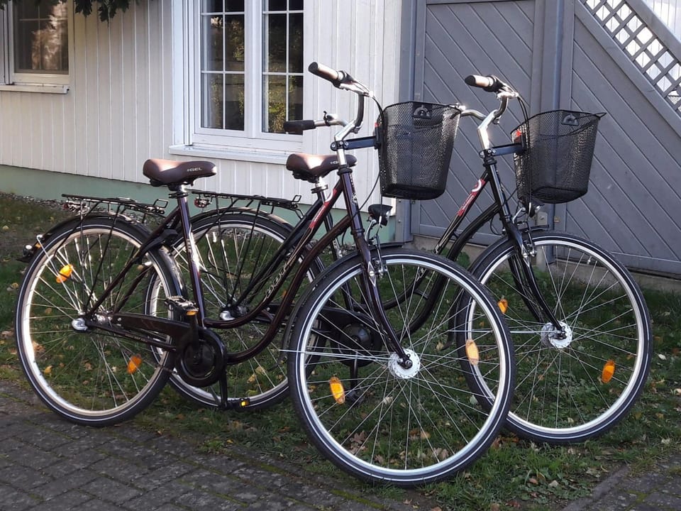 Zinnowitz Skanepark Ferienhaus 28 Apartment in Trassenheide