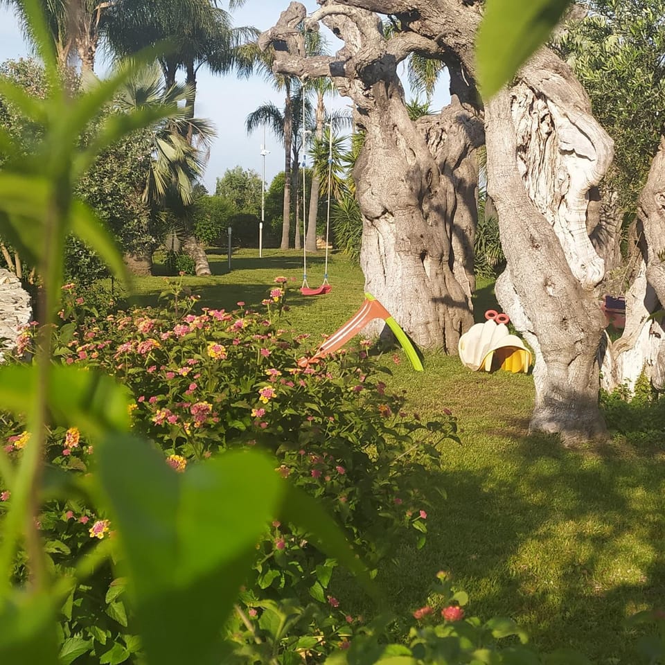 Children play ground
