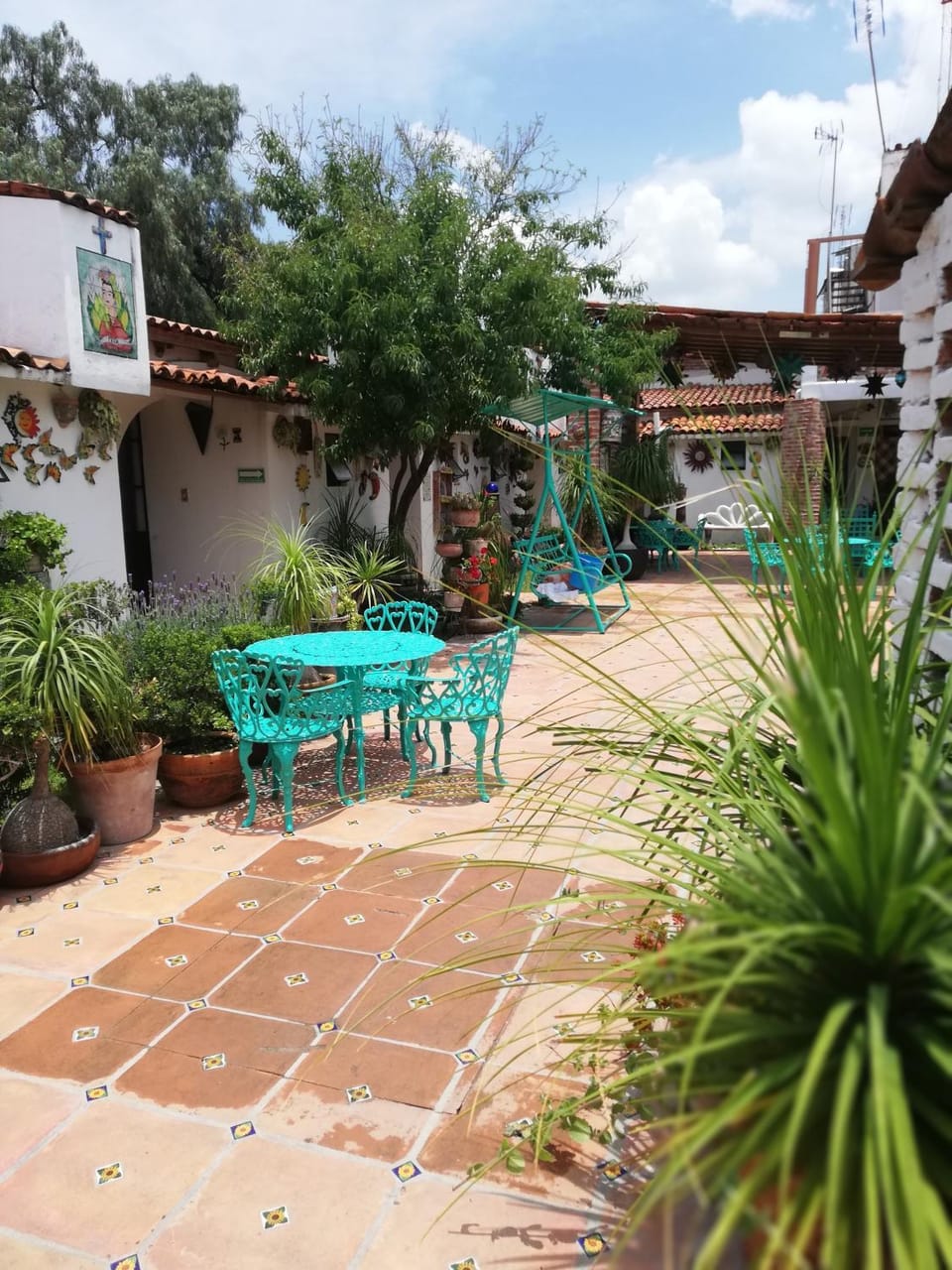 Patio, Garden