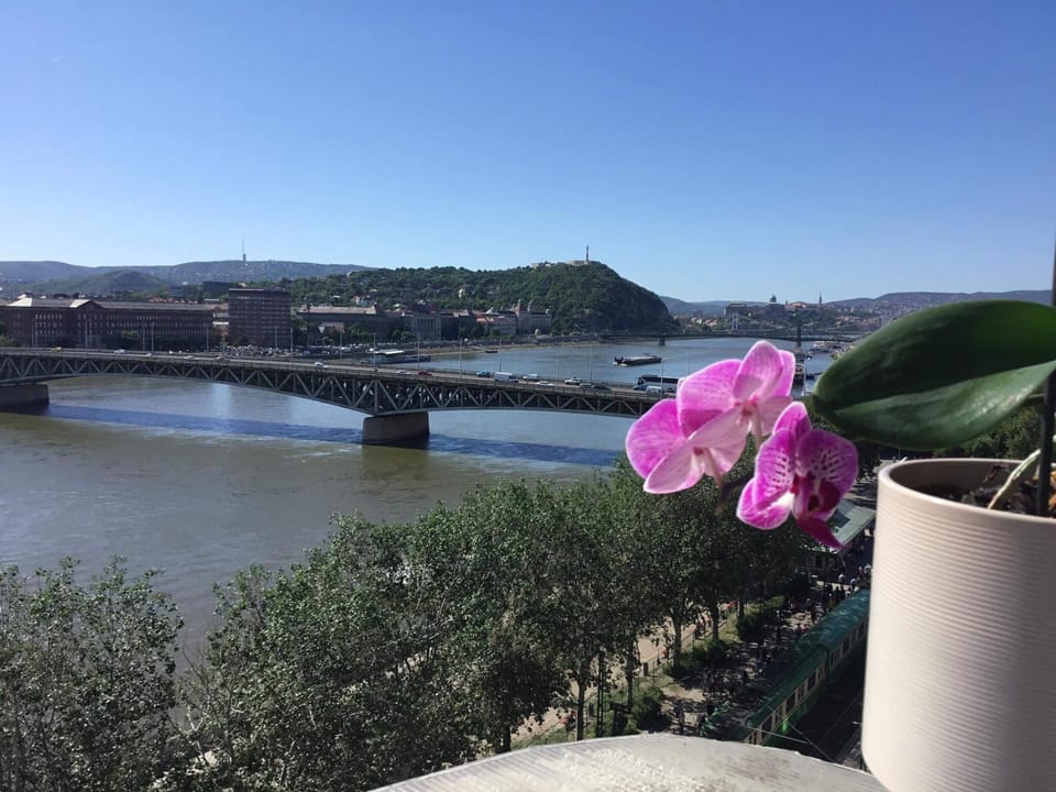 River view