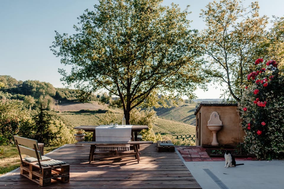 Patio, Garden, Dining area, Garden view