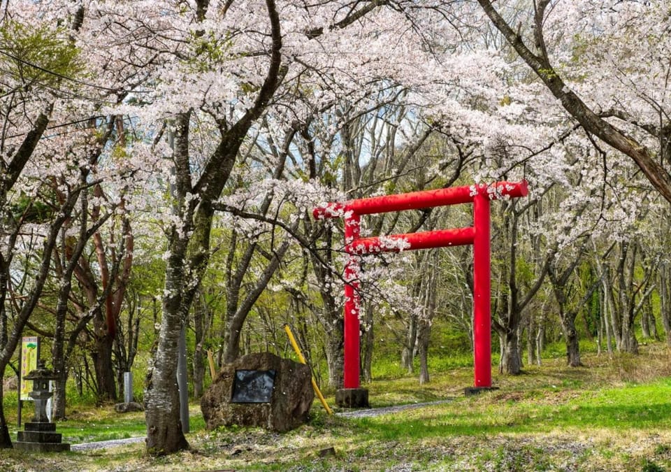 Spring, Day, Neighbourhood, Natural landscape, Other